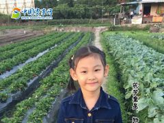 中国赛事网筑梦童星郑人瑛形象展示