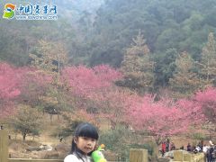 赛事网筑梦童星李佳妮形象展示