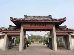 今年九龙湖(宁波)国际半程马拉松比赛人数「增至万人」!|动态旅游播报