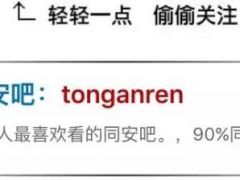 厦门园博苑元旦开园迎客，半年内门票打五折，春节期间活动丰富