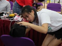 石狮德辉广场少儿模特大赛第二场海选精彩回顾