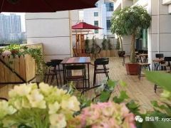 2017/5/19《当怪物来敲门》、《异性觉醒》、《守护者：世纪战元》、《摔跤吧！爸爸》