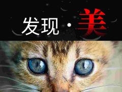 “发现·美”全国网络摄影大赛开始报名啦！