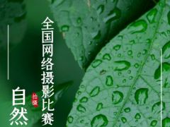 拍摄自然美全国网络摄影比赛正式开始报名