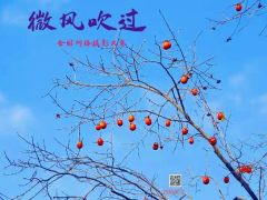 “微风吹过”全国网络摄影大赛正式开始报名了！
