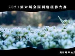 2021第六届全国网络摄影大赛启动报名！手机摄影大赛投稿在线报名 ...