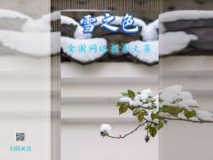 “雪之美”2021年全国网络摄影大赛正式开始报名了！