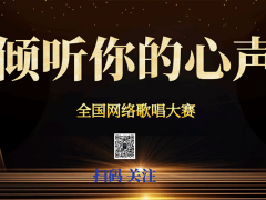 倾听你的心声 全国网络歌唱大赛