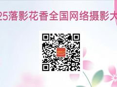 2025落影花香全国网络摄影大赛启动报名